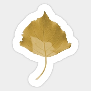 Yellow Leaf Sticker